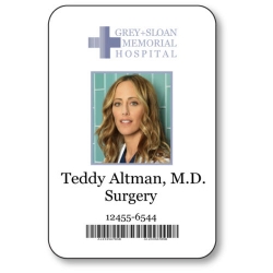 Teddy Altman BADGE HALLOWEEN COSTUME Greys Anatomy BADGE HALLOWEEN Costume Accessory